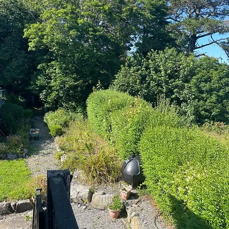 O'domhnaill's - Lig Do Scith