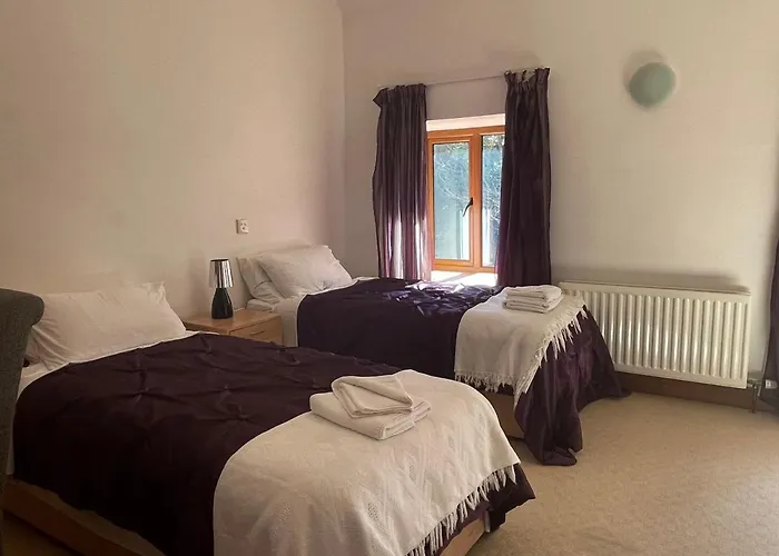 O'domhnaill's - Lig Do Scith